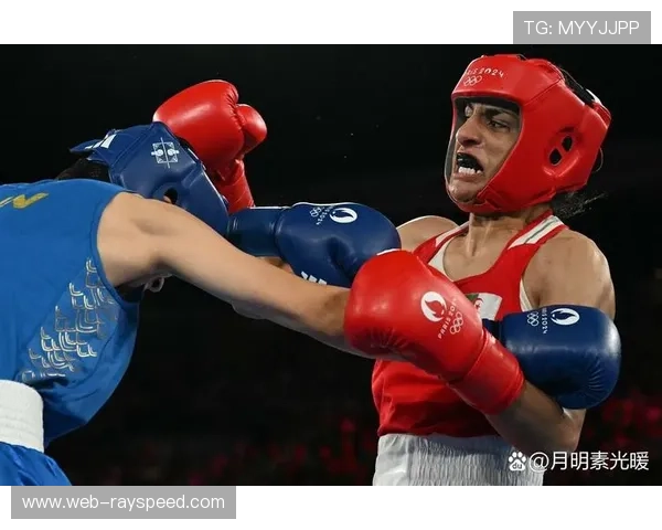 拳击历史档案数字化,经典比赛与选手资料库向公众开放 拳击历史档案数字化,经典比赛与选手资料库向公众开放