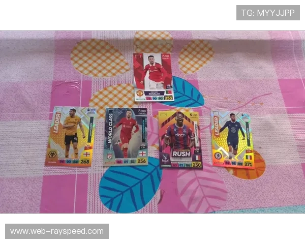 球星卡成女子体育新增长点，帕尼尼承诺加大球员营销与产品创新